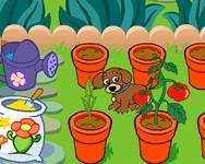 Doras magical garden játék