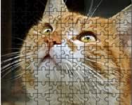 Jigsaw puzzle 2 lnyos HTML5 jtk