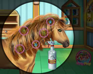 lnyos - Horse hair salon